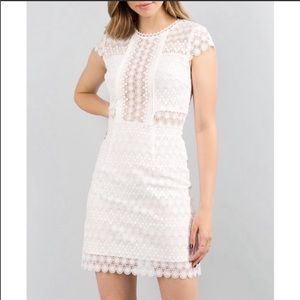 Minuet Lace Short Sleeve Mini Dress
